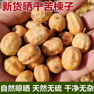 生苦楝子2025采摘老楝树果 苦练枣子楝实子苦心子苦楝子核中药材