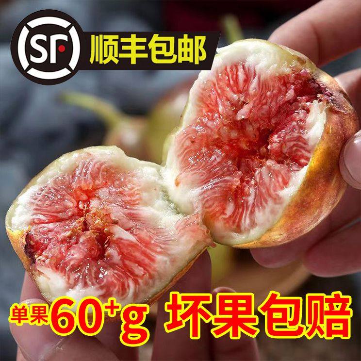 【顺丰包邮】红皮无花果特大果新鲜当季水果天然孕妇水果整箱批发