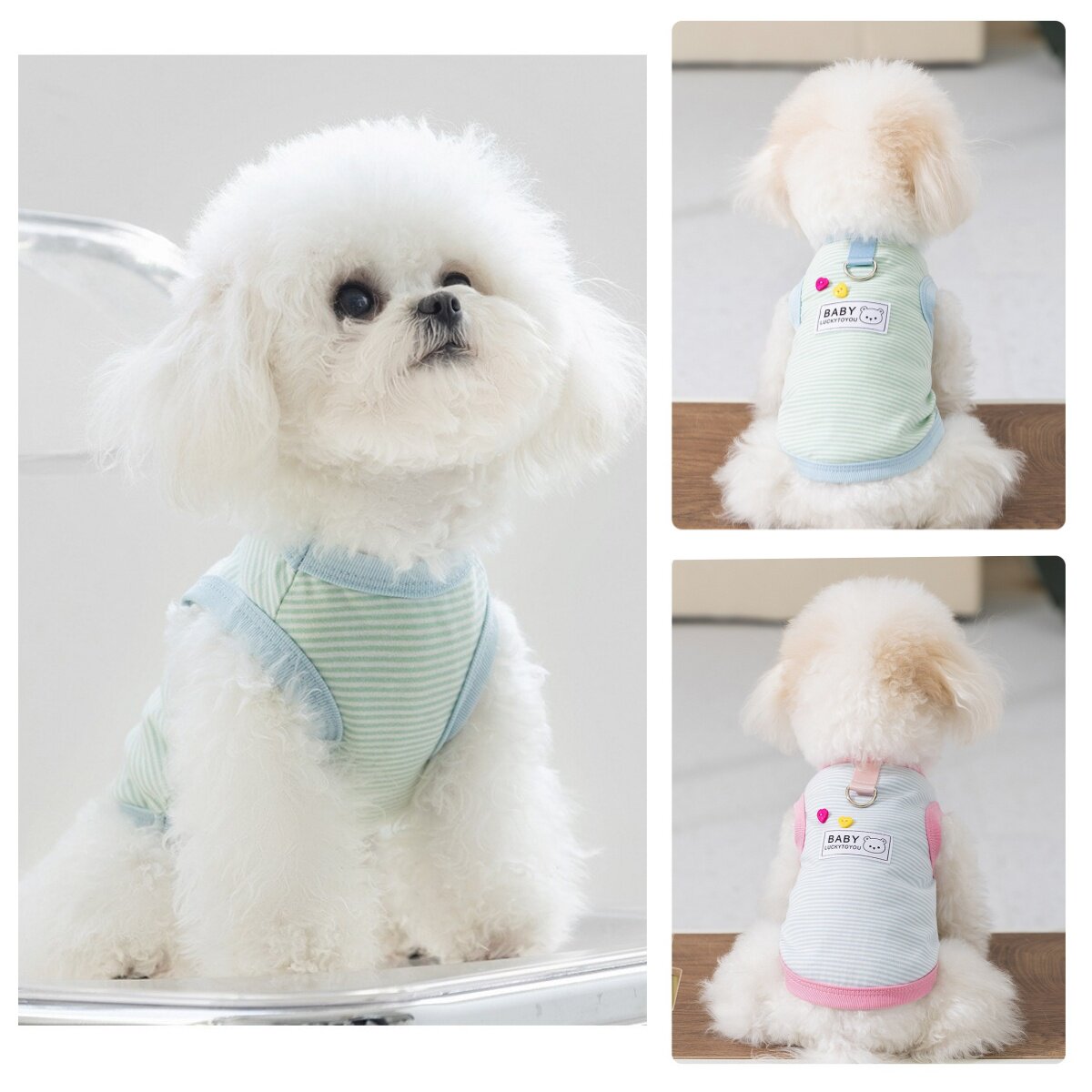 可牵引小狗背心薄款透气猫咪两脚衣泰迪比熊雪纳瑞约克夏法斗吊带