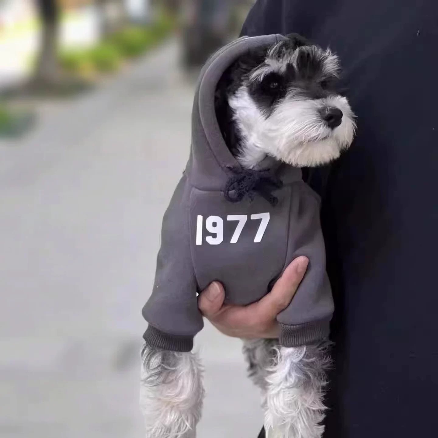 小猫小狗卫衣防脏防掉毛加绒保暖