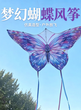 潍坊2026新款仿真蝴蝶风筝