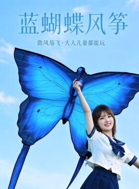 2026新款大型蝴蝶风筝手持摆拍