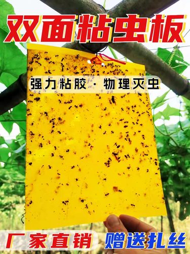 茎蜂蓟马蚜虫诱杀粘虫板
