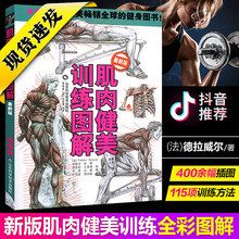 肌肉健美训练图解德拉威尔肌力量运动解剖学图谱健身书籍教程大全私人教练徒手健身精准拉伸训练体能训练书运动健身减脂健身解刨书