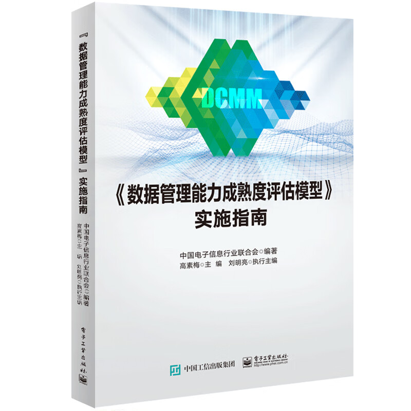 数据管理成熟度评估模型 实施指南 电子信息行业联合会 电子工业出版社