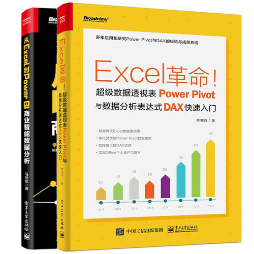 Excel革命 数据透视表Power Pivot与数据分析表达式DAX快入门+从Excel到Power BI商业智能数据分析 excel数据分析教材书籍