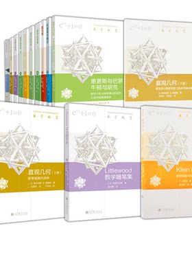 数学概览丛书   套装共16册 泛函分析史 对称的观念 数学的世界 圆与球 代数基本概念 概率 直观几何 讲座 高等教育出版社