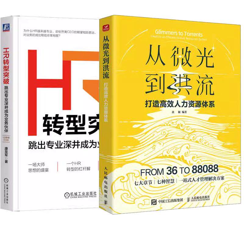 【全2册】从微光到洪流 打造高效人力资源体系 黄颖+HR转型突破 跳出业深井成为业务伙伴