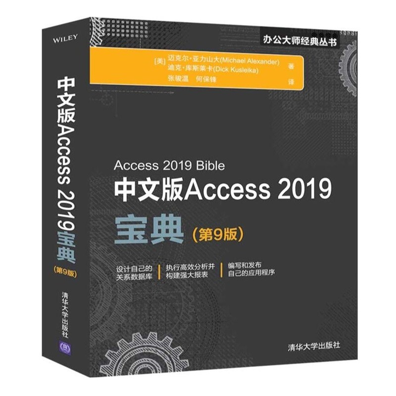 中文版Access 2019第9版第九版办公大师丛书 Access 2016数据库管理与应用从入门到通 Access基础教程图书籍