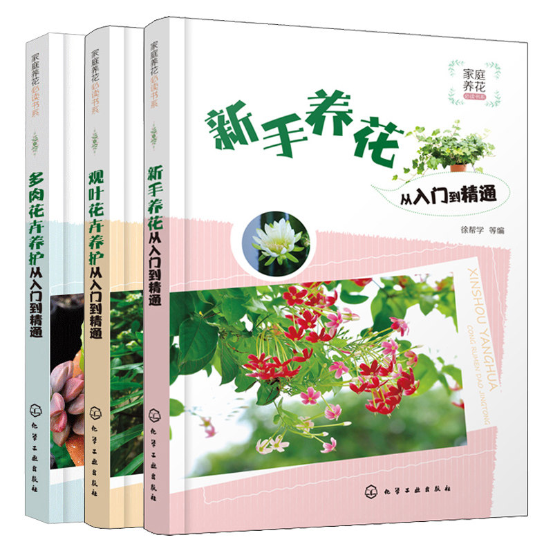 新手养花从入门到精通+观叶花卉养护从入门到精通+多肉花卉养护从入门到精通 共3本 家庭养花书 花卉绿植栽培养护方法技巧 养花书