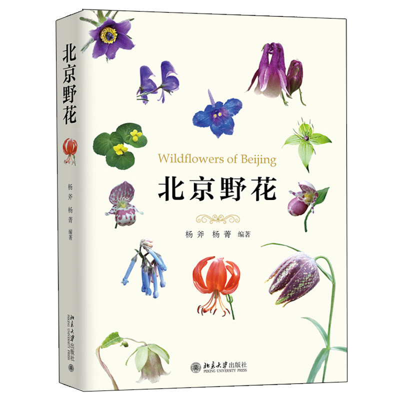 北京野花  认知植物的基本知识书 植物分类生态环境 植物讲解 自然爱好者生态旅游者植物学园林园艺中草药旅游管理导游参考图书籍