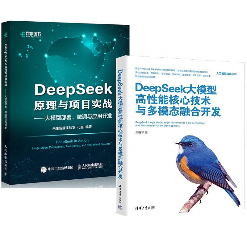 【全2册】DeepSeek大模型高性能核心技术与多模态融合开发+DeepSeek原理与项目实战大模型署、微调与应用开发