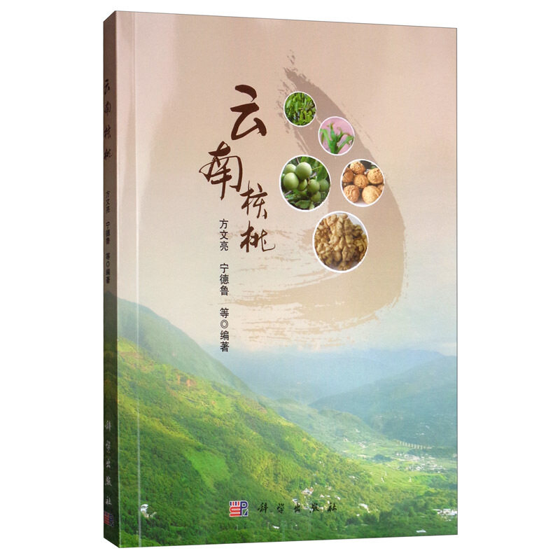 云南核桃 核桃种植书 科学出版社 云南核桃分布栽培区划核桃良种选育核桃栽培繁育技术苗木嫁接核桃园管理核桃病虫害防治技术书籍