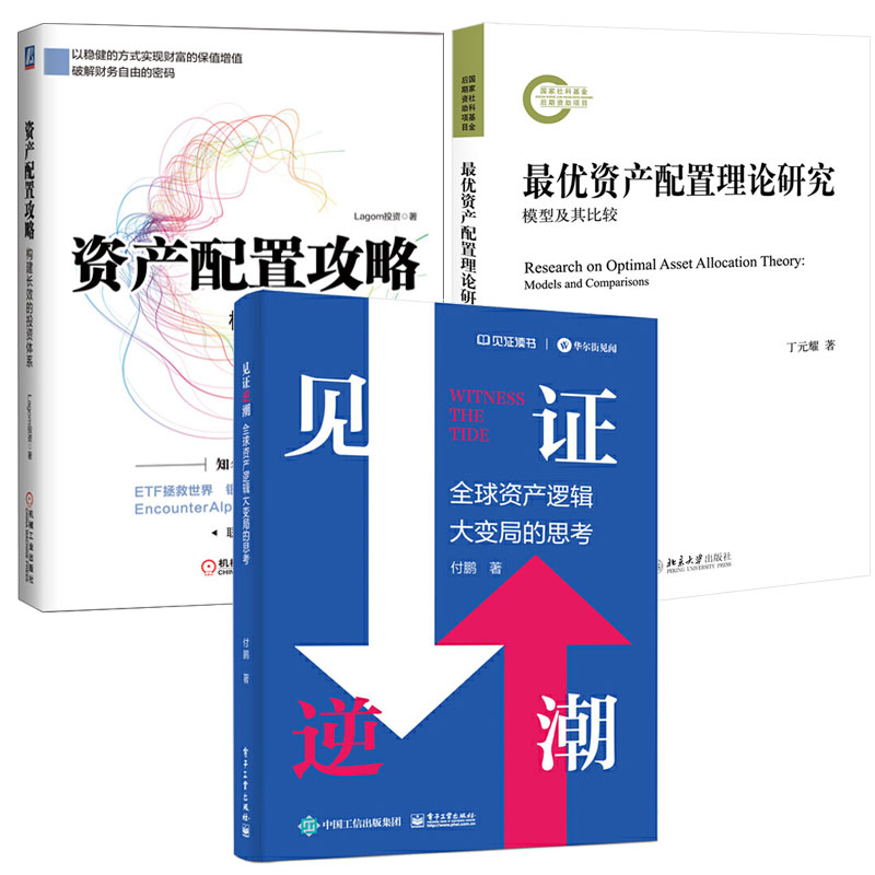 资产配置理论研究+资产配置攻略：构建长效的投资体系+见证逆潮 全球资产逻辑大变局的思考 3本图书籍