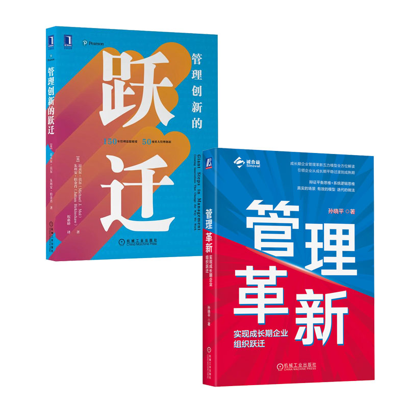 管理革新 实现成长期企业组织跃迁+管理创新的跃迁 书籍