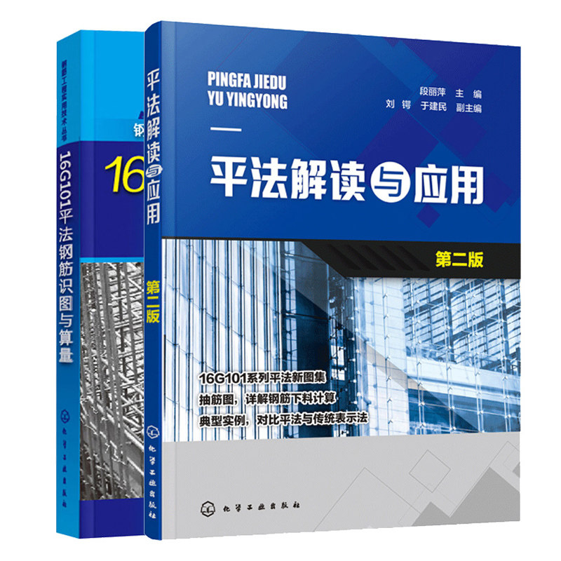 C12 化学工业 2册套装