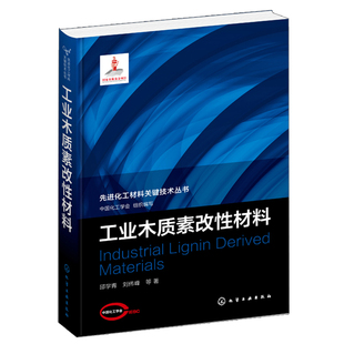 工业木质素改性材料 先进化工材料关键技术丛书 木质素及其功能材料木质素化学改性材料无机氧化物纳米复合材料制备应用书籍