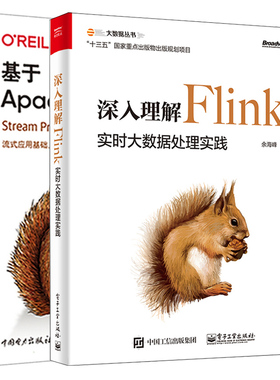 深入理解Flink 实时大数据处理实践+基于Apache Flink的流处理 共2不能 实时数据处理引擎Flink书 事件时间处理模式容错模型书