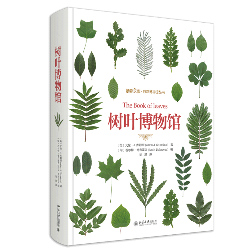树叶博物馆 博物文库 自然博物馆丛书 树叶树种的分布范围常见程度和生境 树叶图鉴 植物爱好阅读 北京大学出版社书籍