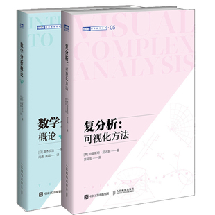 复分析 可视化方法+数学分析概论 岩波定本 数学通识实分析 复分析域 开创了数学域的可视化潮流基础数学本科研究生用书籍