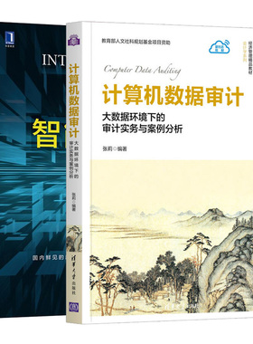 计算机数据审计大数据环境下的审计实务与案例分析+智能审计 2册  智能审计入门剖析审计原理 会计审计财经类相关专业本科生教材