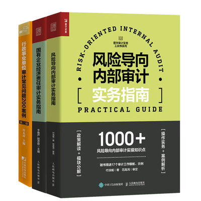 风险导向内审计实务指南+事业单位审计常见问题200案例第二版+有企业经济责任审计实务指南书籍