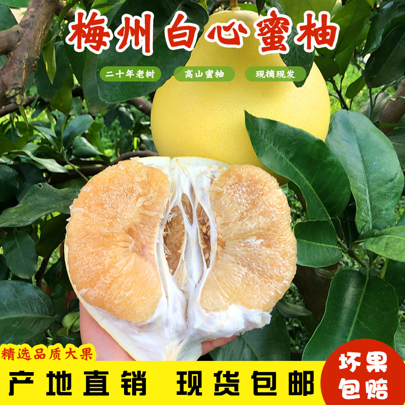 整箱10斤顺丰包邮梅州白心柚子