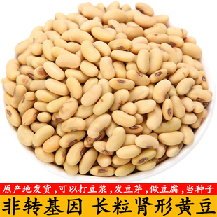 老品种肾形黄豆500g非转基因农家自种小黄豆发豆芽打豆浆
