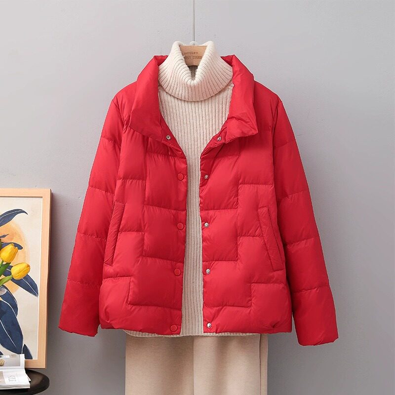 秋冬轻薄羽绒服女短款立领