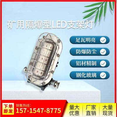 隔爆型LED照明支架灯 DGC35/127L（A） 适用于煤矿采掘面液压支