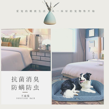 Pet vocal dog khuyến nghị mol mol đồ chơi chó đào tạo Teddy kitten puppy dog ​​nhai vật nuôi chó cung cấp - Mèo / Chó Đồ chơi bán đồ chơi cho chó