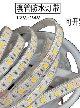 LED灯带 12V超高亮套管防水户外汽车防雨24V船灯条红蓝绿黄光色线