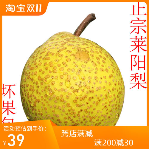 净重 5 斤新鲜莱阳梨慈梨正宗清香脆甜产地包邮