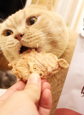 丸味冻干鸡脖兔排蛋黄鱼狗零食磨牙洁牙去口臭牙结石猫咪冻干零食