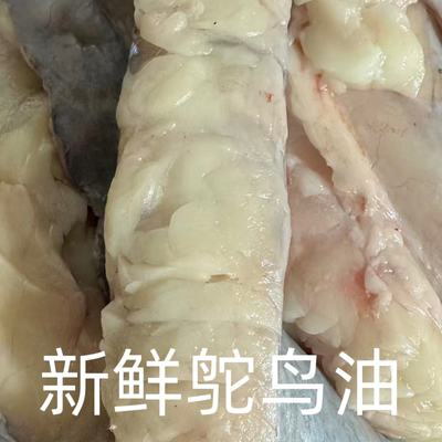 鸵鸟油鸵鸟板油未处理鸵鸟油新鲜鸵鸟油高营养价值包邮