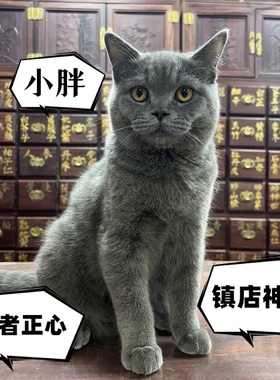 医者心中药材镇店神兽孙思