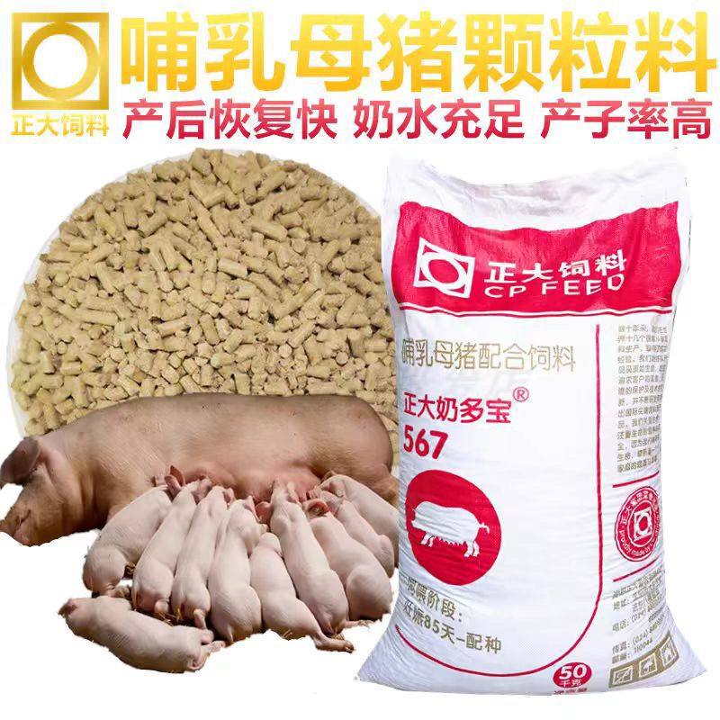 正大猪饲料567奶多宝母猪营养饲料补奶量正品哺乳期颗粒