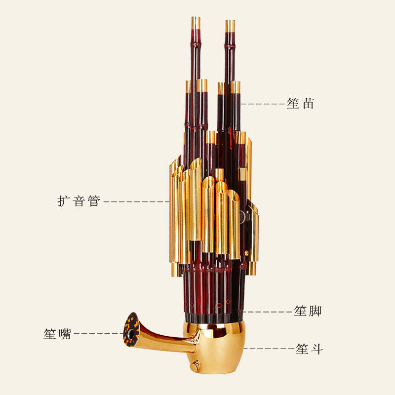 笙乐器17簧1民4器簧扩初学专eqn业族乐器音厂家直销笙乐成人新苼