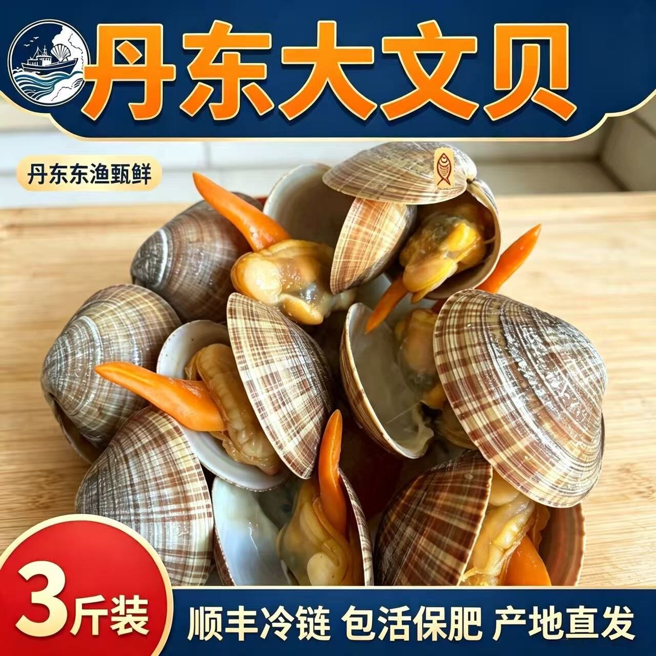 丹东大文贝丹东东港文贝鲜活野生无沙特大礼盒3斤顺丰包邮