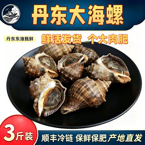 丹东大海螺鲜活无沙保活包邮