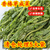 新鲜香椿芽咸菜2025年腌制盐渍头茬香春芽下饭菜酱菜 冲量 特价