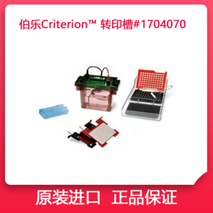 With Plate RAD伯乐转印槽Criterion™Blotter BIO 1704070