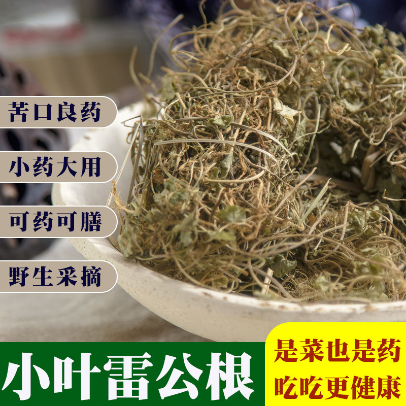 广西野生小叶雷公根积雪草马蹄草野荠菜地钱草新鲜干品5扎小包装