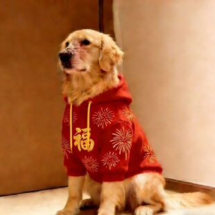 喜庆红色拜年服中大型狗狗衣服金毛拉布拉多边牧金福加绒保暖卫衣