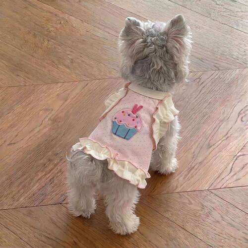 夏季薄款狗狗衣服背心防掉毛猫咪吊带裙小型犬雪纳瑞比熊宠物服装