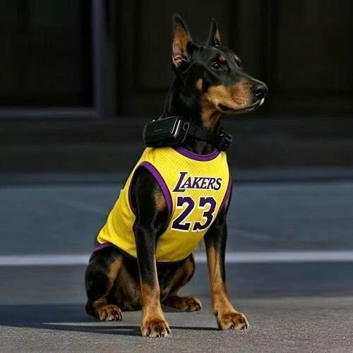 宠物狗衣服大型犬夏季薄款透气网眼帅气球衣防晒衣杜宾拉布拉多