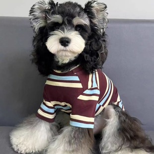 帅气条纹猫咪狗狗宠物衣服春秋新款 泰迪雪纳瑞比熊防掉毛背心T恤