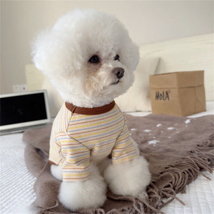 撞色条纹猫咪狗狗宠物衣服秋冬新款 马尔济斯比熊雪纳瑞保暖打底衫