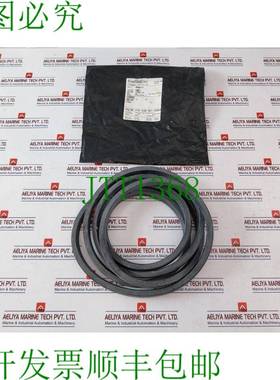 原装供应Cameron C143-0280-001-4288H0 4288 B 型 Polypak 杆式