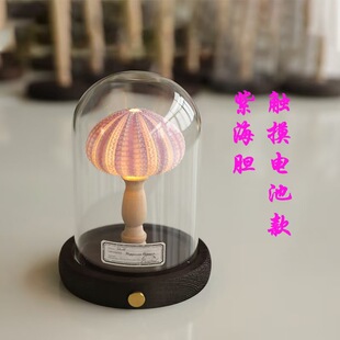 type-c充电款 充电海胆小夜灯海胆海螺灯小夜灯摆件海边文创夜灯